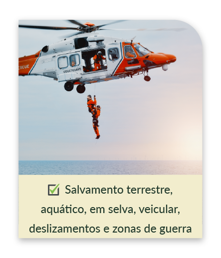 Sem título-1-08.png